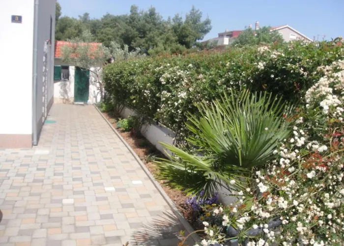 Apartments Srdarev Pencov