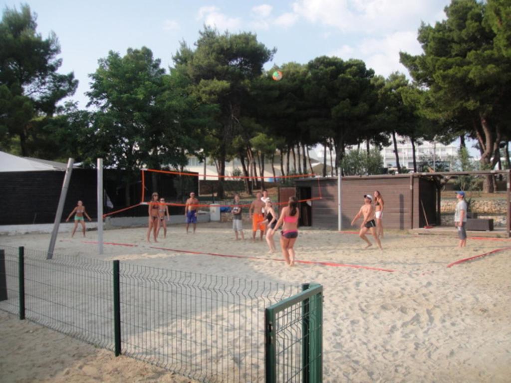 Srdarev Pencov * Vodice