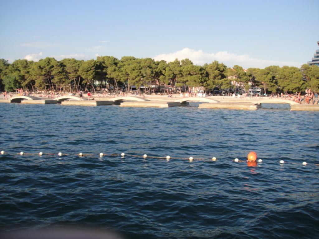 Srdarev Pencov * Vodice